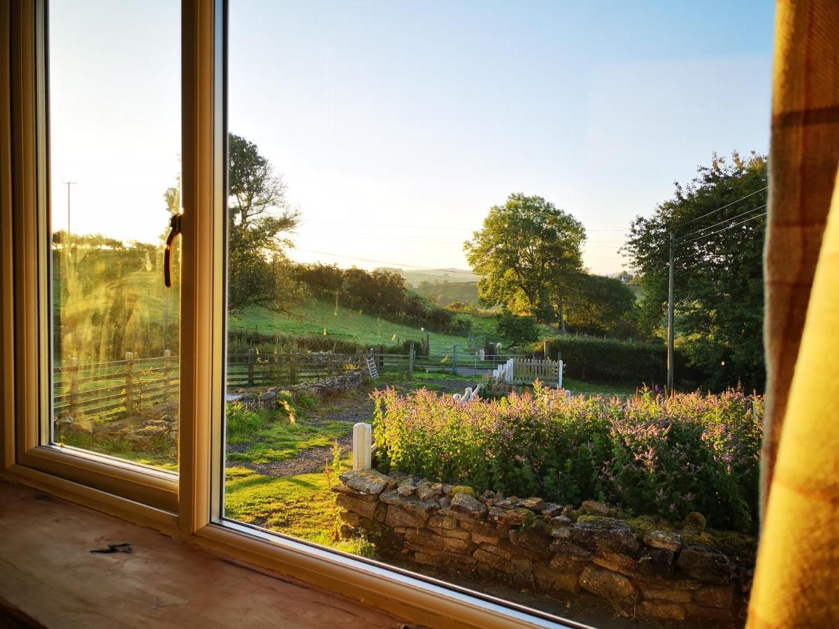 Unique Stay On An Alpaca Therapy Farm With Miniature Donkeys North Wales Mold Exterior foto