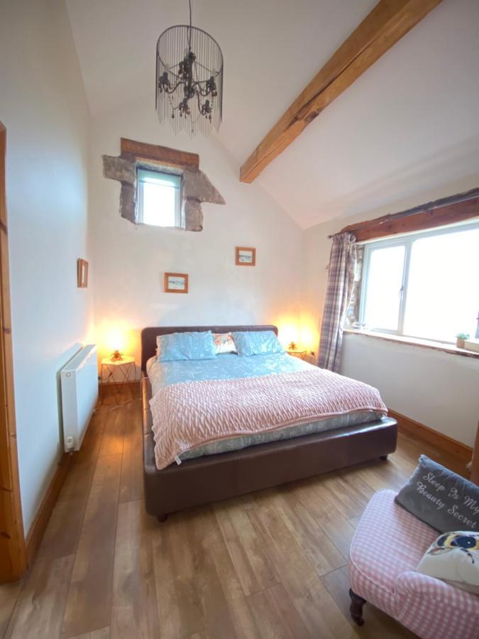 Unique Stay On An Alpaca Therapy Farm With Miniature Donkeys North Wales Mold Exterior foto