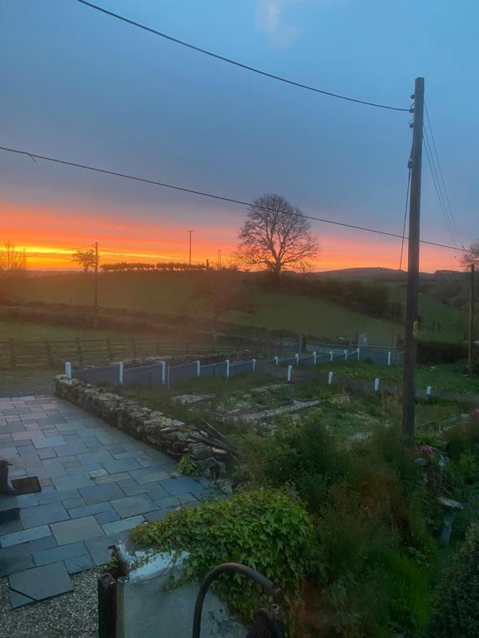 Unique Stay On An Alpaca Therapy Farm With Miniature Donkeys North Wales Mold Exterior foto