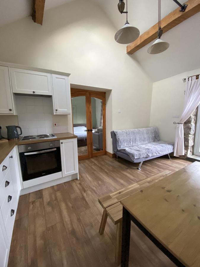 Unique Stay On An Alpaca Therapy Farm With Miniature Donkeys North Wales Mold Exterior foto