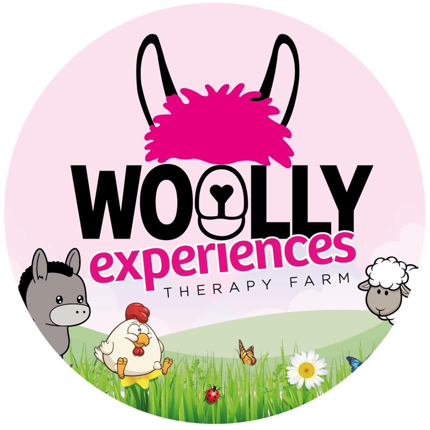 Unique Stay On An Alpaca Therapy Farm With Miniature Donkeys North Wales Mold Exterior foto