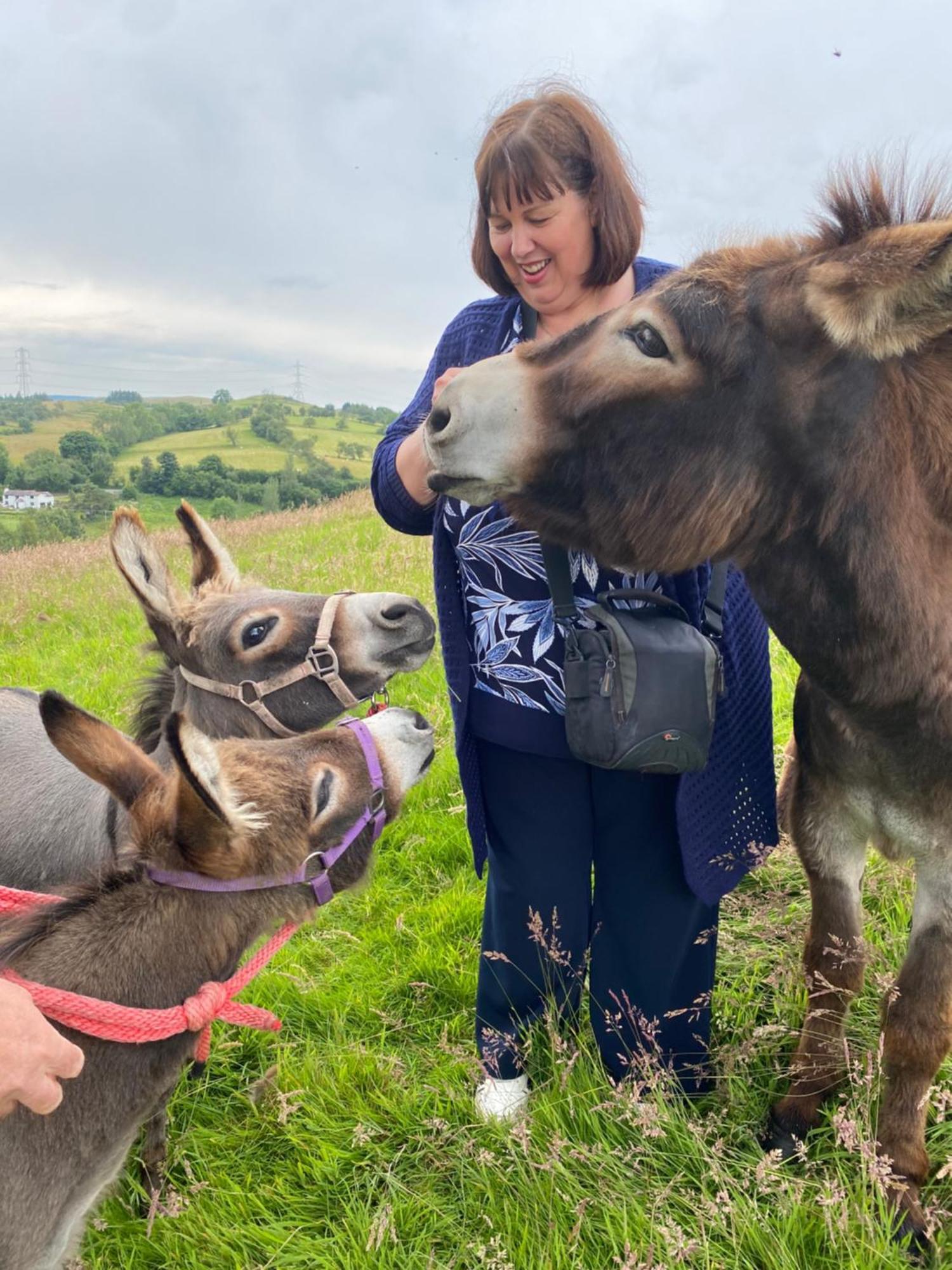 Unique Stay On An Alpaca Therapy Farm With Miniature Donkeys North Wales Mold Exterior foto